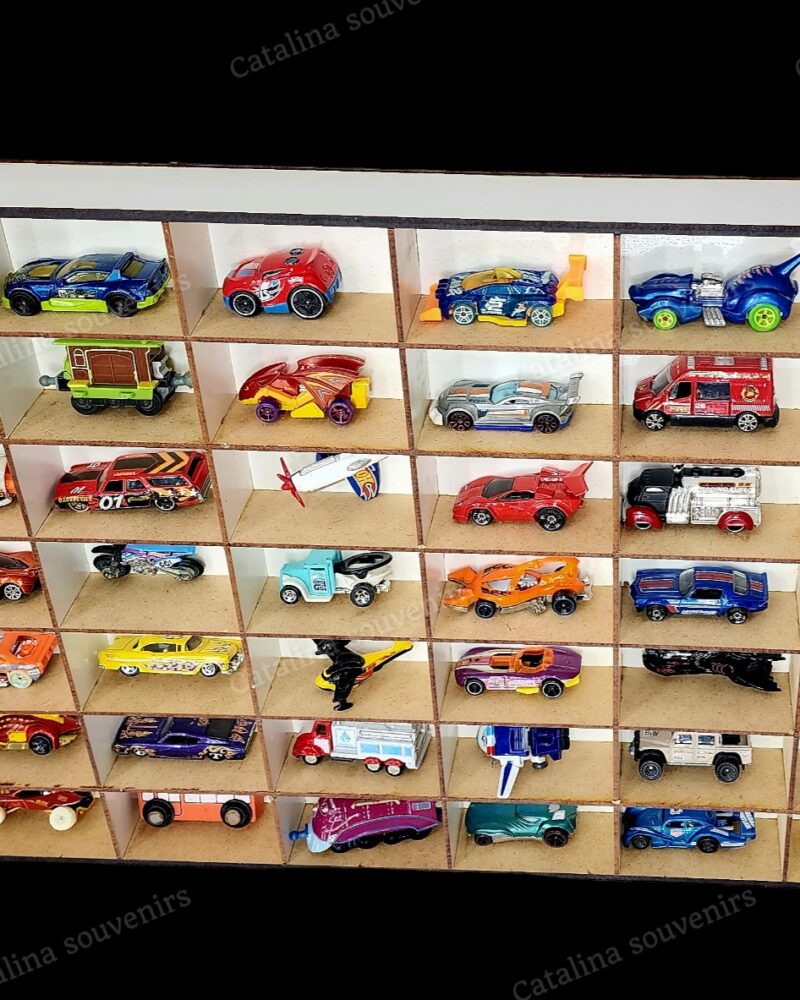 ORGANIZADOR AUTOS 42 casilleros 42x60x5cm c/u5x5,5x9,5cm (COD CFPBORG5C)